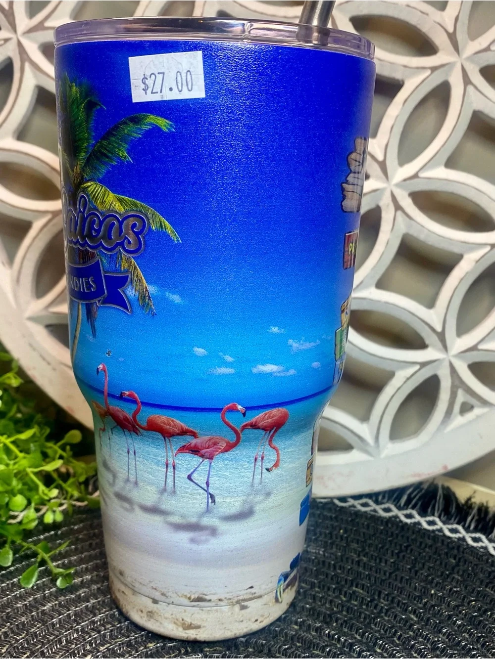 NWT Turks & Caicos‎ Beach Scene Tall Tumbler With Metal Straw